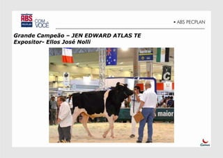 Grande Campeão – JEN EDWARD ATLAS TE
Expositor- Ellos José Nolli
 