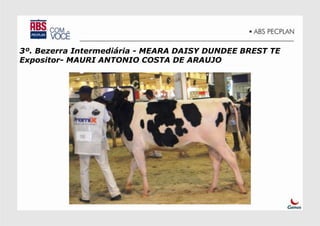 3º. Bezerra Intermediária - MEARA DAISY DUNDEE BREST TE
Expositor- MAURI ANTONIO COSTA DE ARAUJO
 