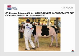 5º. Bezerra Intermediária - WILPE DUNDEE ALFANDEGA 779 FIV
Expositor- LEONEL ARLINDO DALFOVO
 