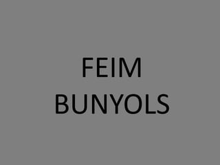 FEIM
BUNYOLS

 