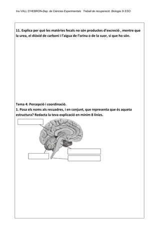 Ins VALL D’HEBRON-Dep. de Ciències Experimentals Treball de recuperació. Biologia 3r ESO 
 
 
11. Explica per què les matèries fecals no són productes d’excreció , mentre que 
la urea, el diòxid de carboni i l’aigua de l’orina o de la suor, sí que ho són. 
 
 
 
 
 
 
 
 
 
 
 
 
Tema 4: Percepció i coordinació. 
1. Posa els noms als recuadres, i en conjunt, que representa que és aqueta 
estructura? Redacta la teva explicació en mínim 8 línies. 
 
 
 
 
 
 
 
 
 
 
 