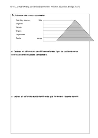 Ins VALL D’HEBRON-Dep. de Ciències Experimentals Treball de recuperació. Biologia 3r ESO 
 
  3. Ordena de més a menys complexitat:
Aparells o sistemes Més
Orgànuls
Cèl·lula
Òrgans
Organismes
Teixits Menys
 
 
4. Destaca les diferències que hi ha en els tres tipus de teixit muscular 
confeccionant un quadre comparatiu. 
 
 
 
 
 
 
 
 
 
 
 
 
5. Explica els diferents tipus de cèl∙lules que formen el sistema nerviós. 
 
 
 
 
 
 
 
 
 
 
 
 