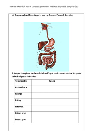 Ins VALL D’HEBRON-Dep. de Ciències Experimentals Treball de recuperació. Biologia 3r ESO 
 
4. Anomena les diferents parts que conformen l’aparell digestiu.   
 
 
 
 
 
 
 
 
 
 
 
 
 
5. Omple la següent taula amb la funció que realitza cada una de les parts 
del tub digestiu indicades: 
 
 
 
 
 
 
 
 
 
Tub digestiu 
 
Funció
 
Cavitat bucal   
 
Faringe   
 
Esòfag   
 
Estómac   
 
Intestí prim   
 
Intestí gros   
 