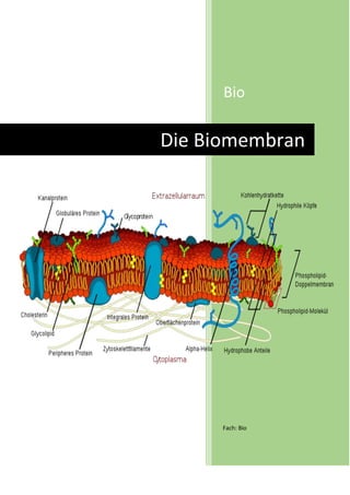 Bio

Die Biomembran

Fach: Bio

 
