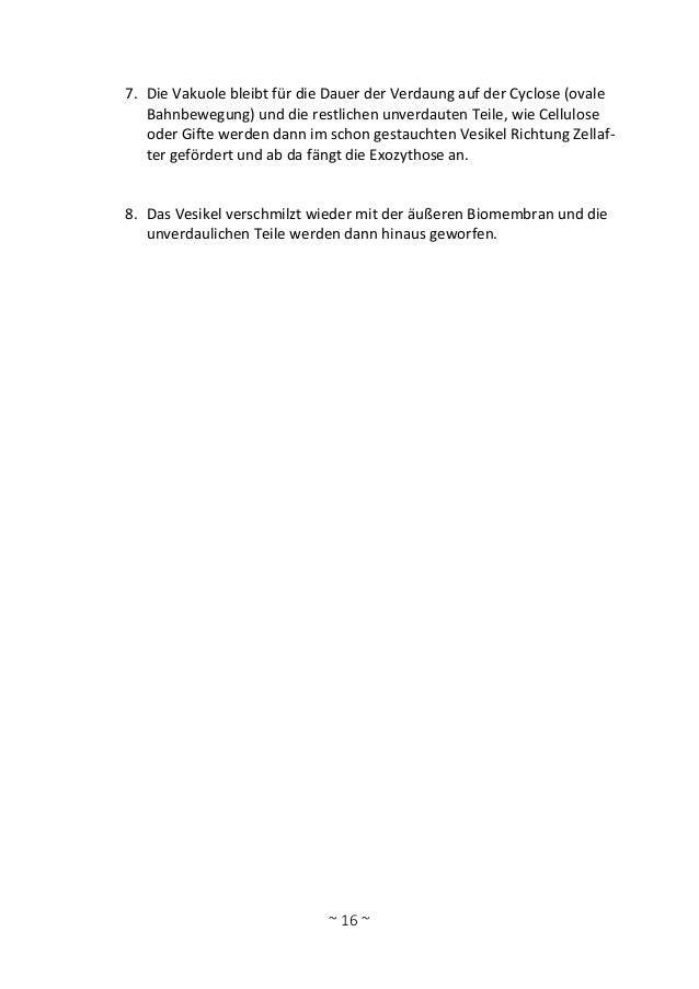 2. Funktionen von Zellstrukturen - PDF Kostenfreier Download