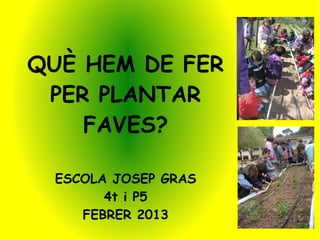 QUÈ HEM DE FER
 PER PLANTAR
    FAVES?

 ESCOLA JOSEP GRAS
       4t i P5
    FEBRER 2013
 