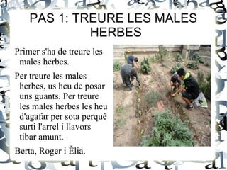PAS 1: TREURE LES MALES
             HERBES
Primer s'ha de treure les
 males herbes.
Per treure les males
 herbes, us heu ...
