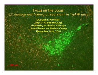 Focus on the Locus:
LC damage and NAergic treatment in TgAPP mice
                Douglas L Feinstein
               Dept of Anesthesiology
            University of Illinois, Chicago
           Jesse Brown VA Medical Center
                December 16th, 2010
 