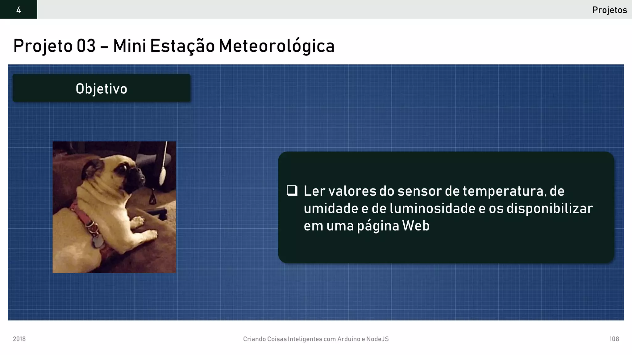 2018 Criando CoisasInteligentes com Arduino e NodeJS 108
Projetos4
Projeto 03 – Mini Estação Meteorológica
 Ler valores do sensor de temperatura, de
umidade e de luminosidade e os disponibilizar
em uma página Web
Objetivo
 