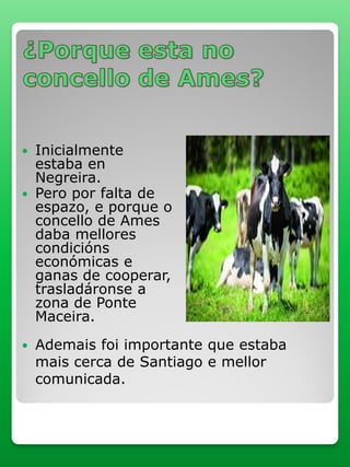  Inicialmente
estaba en
Negreira.
 Pero por falta de
espazo, e porque o
concello de Ames
daba mellores
condicións
económicas e
ganas de cooperar,
trasladáronse a
zona de Ponte
Maceira.
 Ademais foi importante que estaba
mais cerca de Santiago e mellor
comunicada.
 