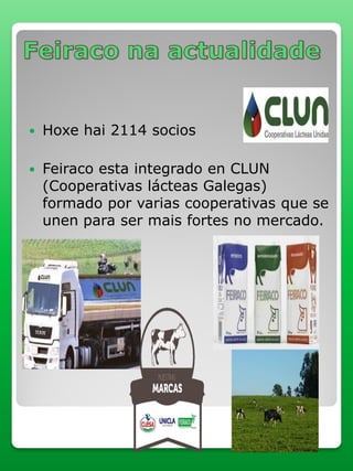  Hoxe hai 2114 socios
 Feiraco esta integrado en CLUN
(Cooperativas lácteas Galegas)
formado por varias cooperativas que se
unen para ser mais fortes no mercado.
 