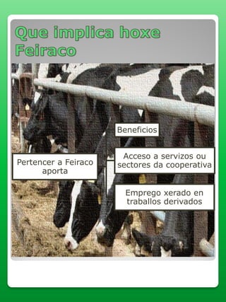 Pertencer a Feiraco
aporta
Beneficios
Acceso a servizos ou
sectores da cooperativa
Emprego xerado en
traballos derivados
 