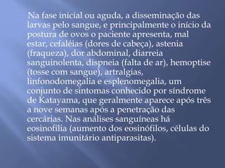 Na fase inicial ou aguda, a disseminação das 
larvas pelo sangue, e principalmente o início da 
postura de ovos o paciente apresenta, mal 
estar, cefaléias (dores de cabeça), astenia 
(fraqueza), dor abdominal, diarreia 
sanguinolenta, dispneia (falta de ar), hemoptise 
(tosse com sangue), artralgias, 
linfonodomegalia e esplenomegalia, um 
conjunto de sintomas conhecido por síndrome 
de Katayama, que geralmente aparece após três 
a nove semanas após a penetração das 
cercárias. Nas análises sanguíneas há 
eosinofilia (aumento dos eosinófilos, células do 
sistema imunitário antiparasitas). 
 