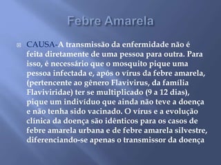  CAUSA-A transmissão da enfermidade não é 
feita diretamente de uma pessoa para outra. Para 
isso, é necessário que o mosquito pique uma 
pessoa infectada e, após o vírus da febre amarela, 
(pertencente ao gênero Flavivirus, da família 
Flaviviridae) ter se multiplicado (9 a 12 dias), 
pique um indivíduo que ainda não teve a doença 
e não tenha sido vacinado. O vírus e a evolução 
clínica da doença são idênticos para os casos de 
febre amarela urbana e de febre amarela silvestre, 
diferenciando-se apenas o transmissor da doença 
 