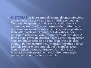  SINTOMAS- A febre amarela é uma doença infecciosa 
grave, causada por vírus e transmitida por vetores. 
Geralmente, quem contrai este vírus não chega a 
apresentar sintomas ou os mesmos são muito fracos. 
As primeiras manifestações da doença são repentinas: 
febre alta, calafrios, cansaço, dor de cabeça, dor 
muscular, náuseas e vômitos por cerca de três dias. A 
forma mais grave da doença é rara e costuma aparecer 
após um breve período de bem-estar (até dois dias), 
quando podem ocorrer insuficiências hepática e renal, 
icterícia (olhos e pele amarelados), manifestações 
hemorrágicas e cansaço intenso. A maioria dos 
infectados se recupera bem e adquire imunização 
permanente contra a febre amarela. 
 