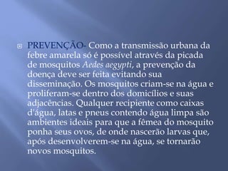  PREVENÇÃO- Como a transmissão urbana da 
febre amarela só é possível através da picada 
de mosquitos Aedes aegypti, a prevenção da 
doença deve ser feita evitando sua 
disseminação. Os mosquitos criam-se na água e 
proliferam-se dentro dos domicílios e suas 
adjacências. Qualquer recipiente como caixas 
d'água, latas e pneus contendo água limpa são 
ambientes ideais para que a fêmea do mosquito 
ponha seus ovos, de onde nascerão larvas que, 
após desenvolverem-se na água, se tornarão 
novos mosquitos. 
 