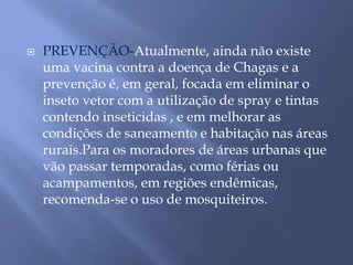  PREVENÇÃO-Atualmente, ainda não existe 
uma vacina contra a doença de Chagas e a 
prevenção é, em geral, focada em eliminar o 
inseto vetor com a utilização de spray e tintas 
contendo inseticidas , e em melhorar as 
condições de saneamento e habitação nas áreas 
rurais.Para os moradores de áreas urbanas que 
vão passar temporadas, como férias ou 
acampamentos, em regiões endêmicas, 
recomenda-se o uso de mosquiteiros. 
 