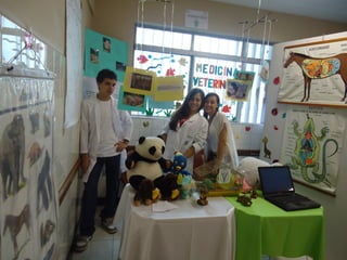 Feira das profissoes itv 2010