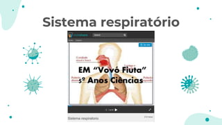 Sistema respiratório
 
