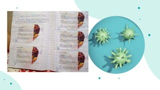 Venus has a beautiful name and is
the second planet from the Sun.
It’s terribly hot—even hotter than
Mercury
Introduction
 