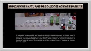 INDICADORES NATURAIS DE SOLUÇÕES ÁCIDAS E BÁSICAS 
Os indicadores obtidos de flores após maceração no álcool, ao serem misturados às soluções ácidas ou 
básicas formam novos compostos através de reações químicas. Esses novos compostos apresentam cores 
específicas, que permitem identificar a função química (ácida ou básica) da solução que a originou. As 
substâncias ácidas são aquelas que em solução se ionizam, formando íons H + e as básicas, se dissociam 
formando íons OH-. 
 
