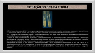EXTRAÇÃO DO DNA DA CEBOLA 
O Ácido Desoxirribonucleico (DNA) é um composto orgânico cujas moléculas contêm as instruções genéticas que coordenam o desenvolvimento 
e funcionamento de todos os seres vivos e alguns vírus, e que transmitem as características hereditárias de cada ser vivo. 
Para a extração do DNA é necessário quebrar a membrana citoplasmática para poder chegar até o núcleo da célula e sem comprometer sua 
constituição. Para isso as etapas a seguir são muito importantes. 
A solução de lise é assim denominada devido a sua função de rompimento da membrana plasmática e outras membranas. É formada por 
detergente e sal. O detergente permite a desestruturação das moléculas de lipídios das membranas biológicas e o sal proporciona o ambiente 
favorável para a extração de DNA, neutralizando a carga negativa dos grupos fosfatos dessa molécula. 
O resfriamento do filtrado no gelo permitirá a precipitação do DNA e o álcool gelado diminui a solubilidade do DNA com a ajuda do sal 
adicionado inicialmente. O DNA, menos solúvel em álcool, formará um aglomerado que precipitará junto com outras moléculas. Adicionar o 
álcool gelado em velocidade lenta auxilia na eficiência de precipitação do DNA. A visualização fácil do DNA da cebola se deve a sua grande 
dimensão. 
 