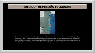 MEDIDOR DE PRESSÃO PULMONAR 
O experimento verifica a capacidade pulmonar e o desempenho dos músculos intercostais e diafragma. Essa 
verificação é feita a partir do movimento expiratório máximo canalizado por uma mangueira até um manômetro, 
que medirá a pressão do ar expelido pelo pulmão devido a ação da musculatura respiratória. Quanto maior a 
pressão, melhor capacidade pulmonar e melhor desempenho dos músculos envolvidos. 
 