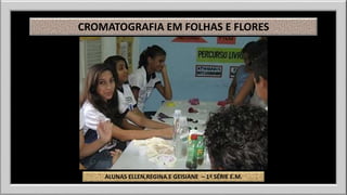 CROMATOGRAFIA EM FOLHAS E FLORES 
ALUNAS ELLEN,REGINA E GEISIANE – 1ª SÉRIE E.M. 
 