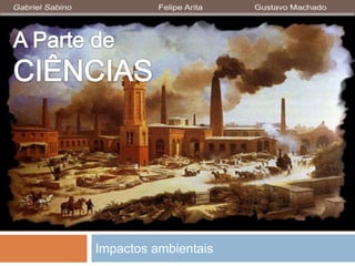 Impactos ambientais
 