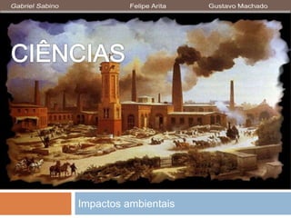 Impactos ambientais
 