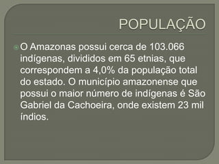 OAmazonas possui cerca de 103.066
indígenas, divididos em 65 etnias, que
correspondem a 4,0% da população total
do estado. O município amazonense que
possui o maior número de indígenas é São
Gabriel da Cachoeira, onde existem 23 mil
índios.
 