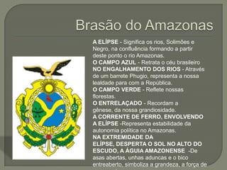 A ELÍPSE - Significa os rios, Solimões e
Negro, na confluência formando a partir
deste ponto o rio Amazonas.
O CAMPO AZUL - Retrata o céu brasileiro
NO ENGALHAMENTO DOS RIOS - Através
de um barrete Phugio, representa a nossa
lealdade para com a República.
O CAMPO VERDE - Reflete nossas
florestas.
O ENTRELAÇADO - Recordam a
gênese, da nossa grandiosidade.
A CORRENTE DE FERRO, ENVOLVENDO
A ELÍPSE -Representa estabilidade da
autonomia política no Amazonas.
NA EXTREMIDADE DA
ELÍPSE, DESPERTA O SOL NO ALTO DO
ESCUDO, A ÁGUIA AMAZONENSE -De
asas abertas, unhas aduncas e o bico
entreaberto, simboliza a grandeza, a força de
 