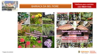 BARRACA DA BEL FIORE
*Imagens do produtor
Telefone para contato:
(32) 98839-9566
 
