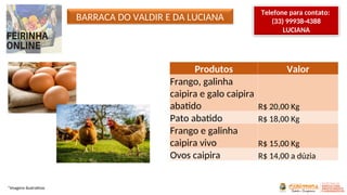 BARRACA DO VALDIR E DA LUCIANA
Produtos Valor
Frango, galinha
caipira e galo caipira
abatido R$ 20,00 Kg
Pato abatido R$ 18,00 Kg
Frango e galinha
caipira vivo R$ 15,00 Kg
Ovos caipira R$ 14,00 a dúzia
*Imagens ilustrativas
Telefone para contato:
(33) 99938-4388
LUCIANA
 