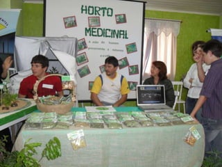 Feira regional