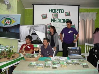 Feira regional
