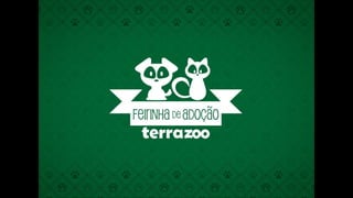 Feirinha de Adoção - Terra Zoo