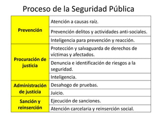 Proceso de la Seguridad Pública