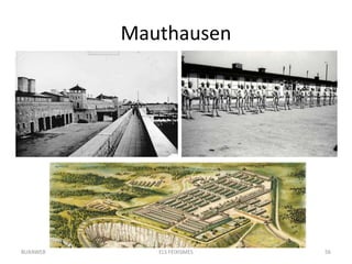 Mauthausen
ELS FEIXISMES 56BUXAWEB
 