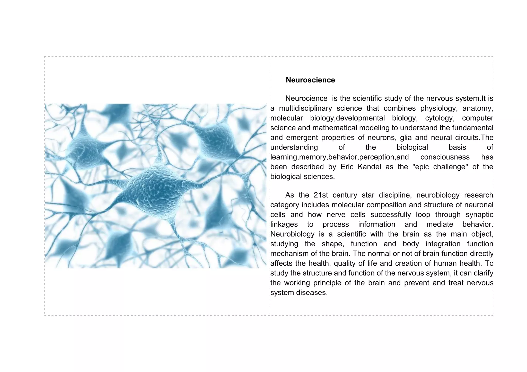 Neuroscience
Neurocience is the scientific study of the nervous system.It is
a multidisciplinary science that combines physiology, anatomy,
molecular biology,developmental biology, cytology, computer
science and mathematical modeling to understand the fundamental
and emergent properties of neurons, glia and neural circuits.The
understanding of the biological basis of
learning,memory,behavior,perception,and consciousness has
been described by Eric Kandel as the "epic challenge" of the
biological sciences.
As the 21st century star discipline, neurobiology research
category includes molecular composition and structure of neuronal
cells and how nerve cells successfully loop through synaptic
linkages to process information and mediate behavior.
Neurobiology is a scientific with the brain as the main object,
studying the shape, function and body integration function
mechanism of the brain. The normal or not of brain function directly
affects the health, quality of life and creation of human health. To
study the structure and function of the nervous system, it can clarify
the working principle of the brain and prevent and treat nervous
system diseases.
 