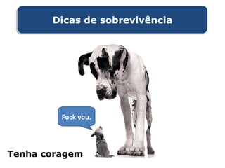 Fuck you.
Tenha coragem
Dicas de sobrevivênciaDicas de sobrevivência
 