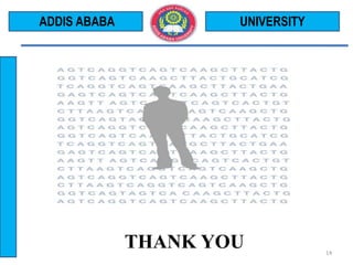 THANK YOU
UNIVERSITY
14
ADDIS ABABA
 