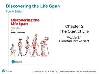 Copyright © 2018, 2015, 2012 Pearson Education, Inc. All Rights Reserved
Discovering the Life Span
Fourth Edition
Chapter 2
The Start of Life
Module 2.1
Prenatal Development
 