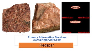 Primary Information Services
www.primaryinfo.com
 