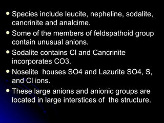Species include leucite, nepheline, sodalite, cancrinite and analcime. Some of the members of feldspathoid group contain unusual anions. Sodalite contains Cl and Cancrinite incorporates CO3.  Noselite  houses SO4 and Lazurite SO4, S, and Cl ions. These large anions and anionic groups are located in large interstices of  the structure. 