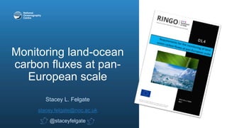 Monitoring land-ocean
carbon fluxes at pan-
European scale
Stacey L. Felgate
stacey.felgate@noc.ac.uk
@staceyfelgate
 