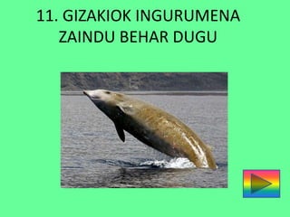 11. GIZAKIOK INGURUMENA
ZAINDU BEHAR DUGU
 