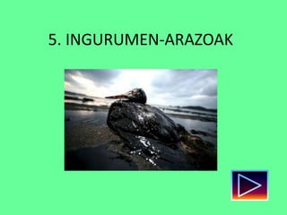 5. INGURUMEN-ARAZOAK
 