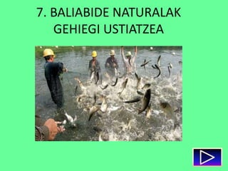 7. BALIABIDE NATURALAK
GEHIEGI USTIATZEA
 