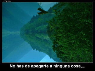 No has de apegarte a ninguna cosa,... 